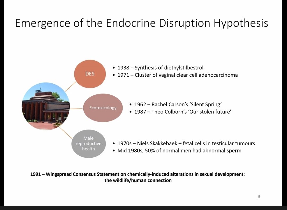 🇬🇧Bridgette York 💙#PatientExperience Research tweet media