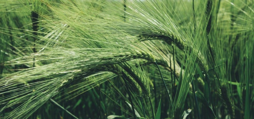 Wheat and Chaff? <a href="/Casepoint/">Casepoint</a> Unveils AI and Advanced #Analytics Technology - Read the complete announcement at complexd.blog/2SxNkWC. #eDiscovery #LegalTech