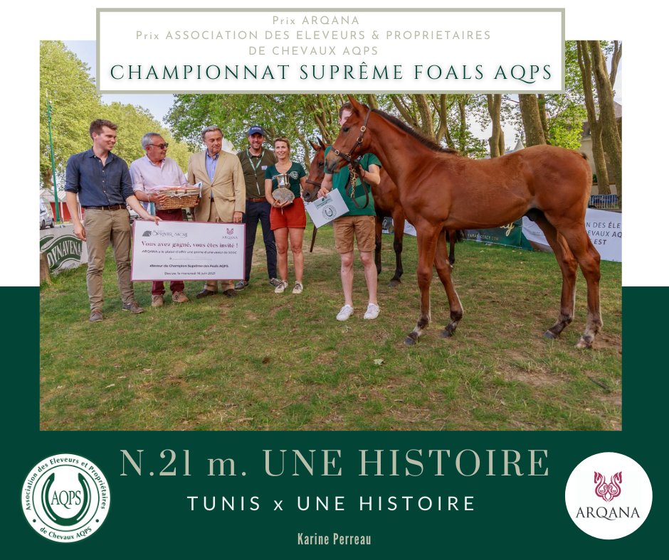 AqpsDecize's tweet photo. 🏆SUPRÊME FOALS AQPS 🏆

Pas de galanterie en cette fin journée ! Le Foal Mâle de @Perreau18 remporte également le Championnat Suprême des Foals AQPS @InfoArqana &amp; @Fedeeleveurs  qui l'opposait à la pouliche de BEJCA/KARAKTAR de la Famille Couteaudier/Leenders! 

CLAP DE FIN ✊ https://t.co/biYkUWcAqz