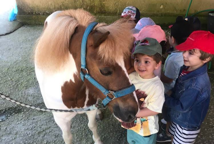 maristasourense's tweet image. Los alumnos de 3 años disfrutan en la Hípica de Allariz un día inolvidable #ExcursionesFinDeCurso