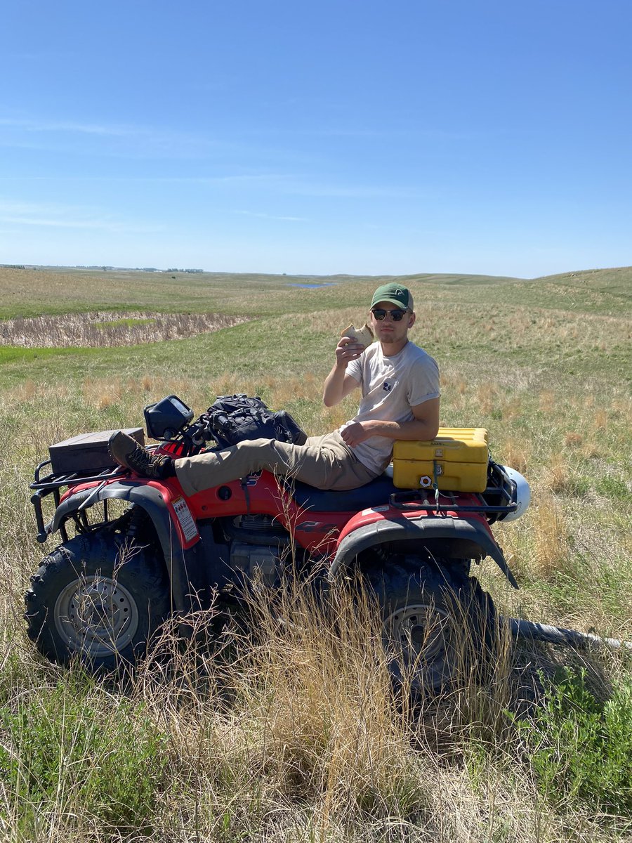 RealDuckTails's tweet image. What is your go-to lunch during the #fieldseason? If you ask our Real Duck Tails team, #sandwiches and #granolabars are a must have!