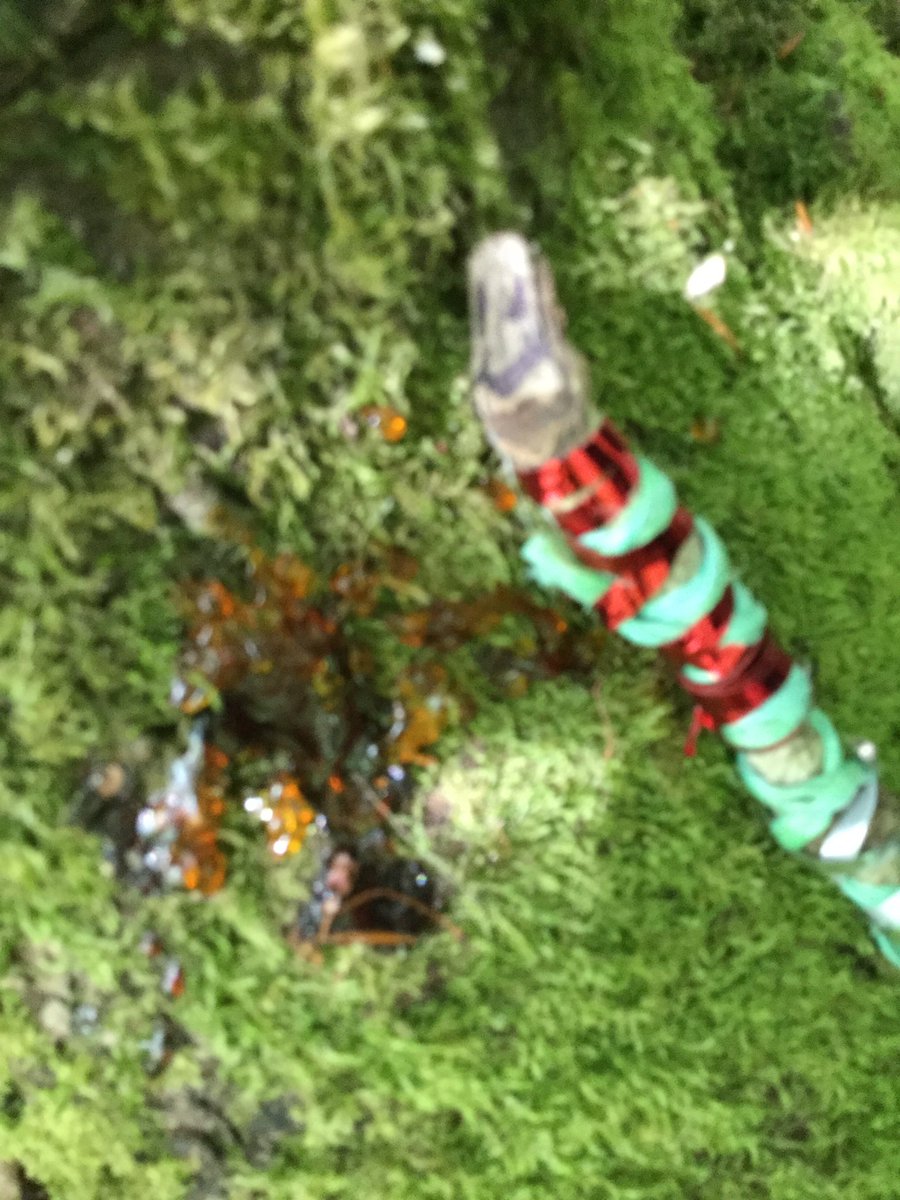 PipersForestSch's tweet image. Reception @PipersPrePrep found the glitterworm from The Happiness Tree @DannyE_Stories in our forest today. They took great care making smiley willow crowns. #pipersoutdoors #pipersforest #forestfun #bestbookever 🐛