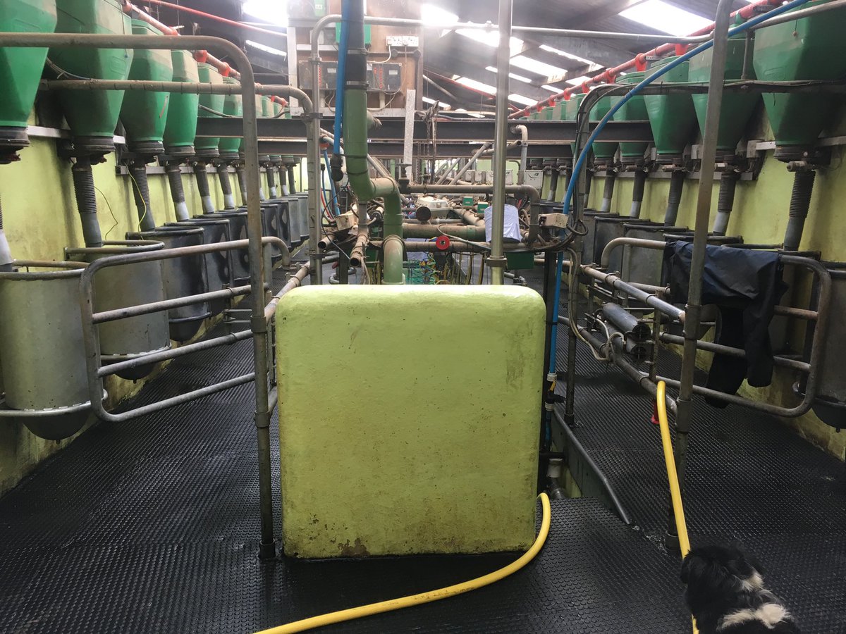 Hi, we’re looking to sell our complete 22:22 Westfalia herringbone parlour. Milk meters, metatron 12, ACR’s, ADF, auto ID, feeders etc. Pembrokeshire/Carmarthenshire border. DM for further info. Please feel free to RT. Sorry dog not for sale