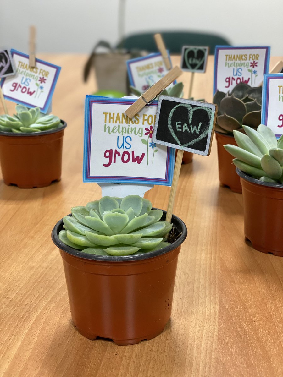 td_3184's tweet photo. Always growing together as a team 🌵💚 #EAW #TDStrong https://t.co/6KTglakpyD