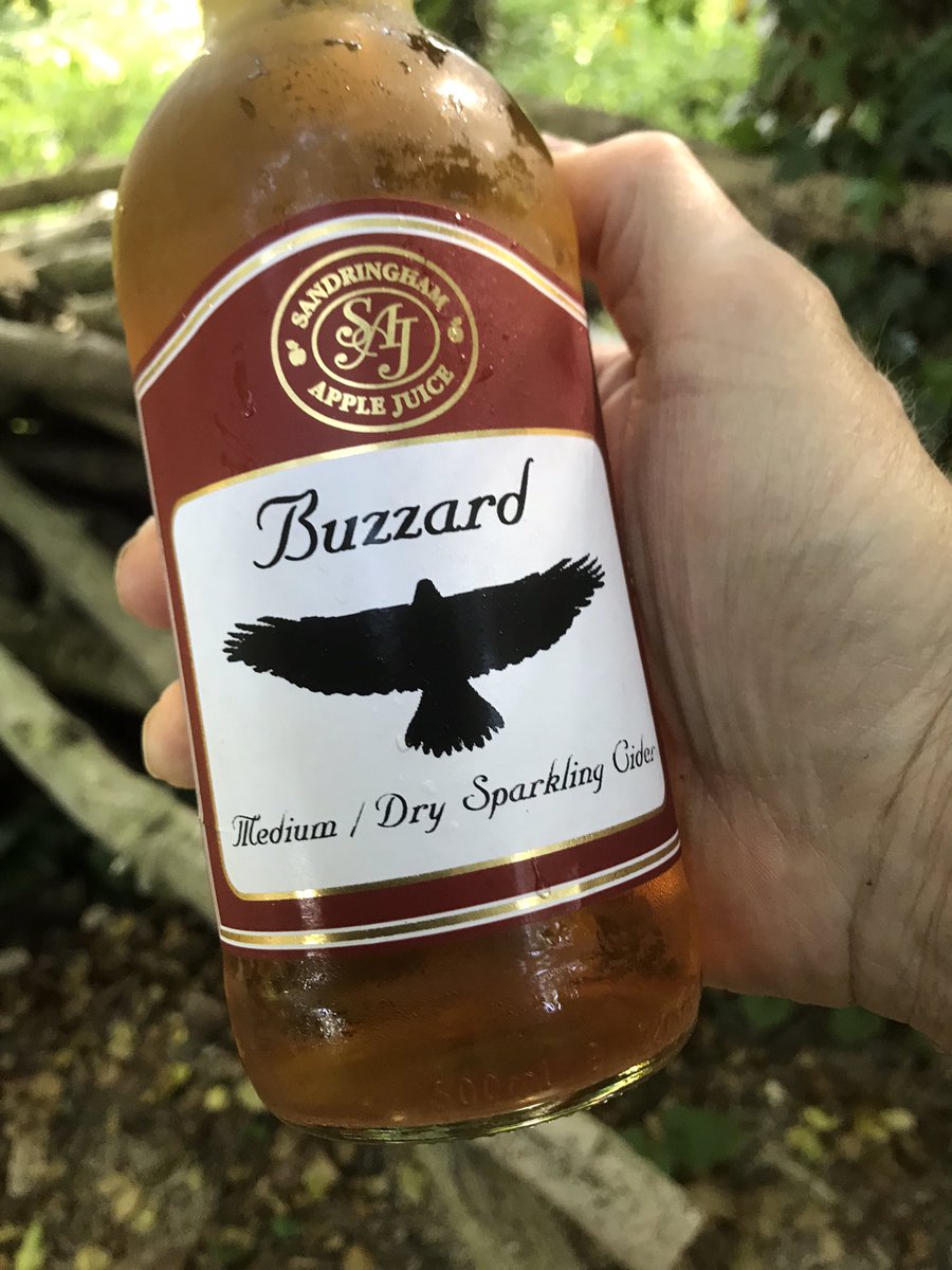 Russell ChalkStreamsInCrisis 🦇🦎🦇🦎 (@russellb1ggs) on Twitter photo Ruby believes I should stack the split 🪵 under cover before the ⛈ arrive 🤔anyway after much thought I gone for a cold Cider <a href="/SandAppleJuice/">Sandringham Juice</a> 😋 Ruby believes I should stack the split 🪵 under cover before the ⛈ arrive 🤔anyway after much thought I gone for a cold Cider <a href="/SandAppleJuice/">Sandringham Juice</a> 😋