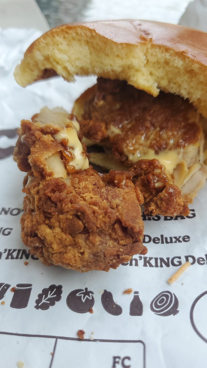 NicGregor's tweet photo. A first @BurgerKing my fries were the best part of my meal. Over-cooked chicken sandwich. #NeverAgain https://t.co/GLt2JX9IC9