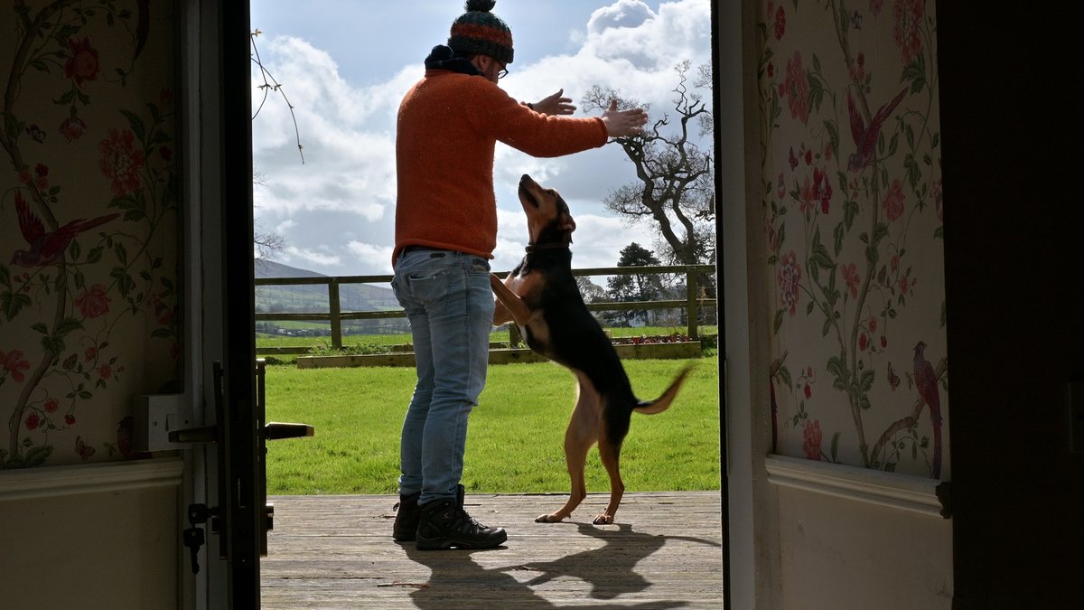 Randaddys_ie's tweet photo. Plenty of two and four legged friends coming in this week's episode. Can't wait to share it with you on Sunday.
What do you think of the series so far?
#randaddys #staycation #thisisirishfood #camping #vw #realtasteofadventure #irishfood #instavw #eastirelandadventure https://t.co/o1jl59Fc45