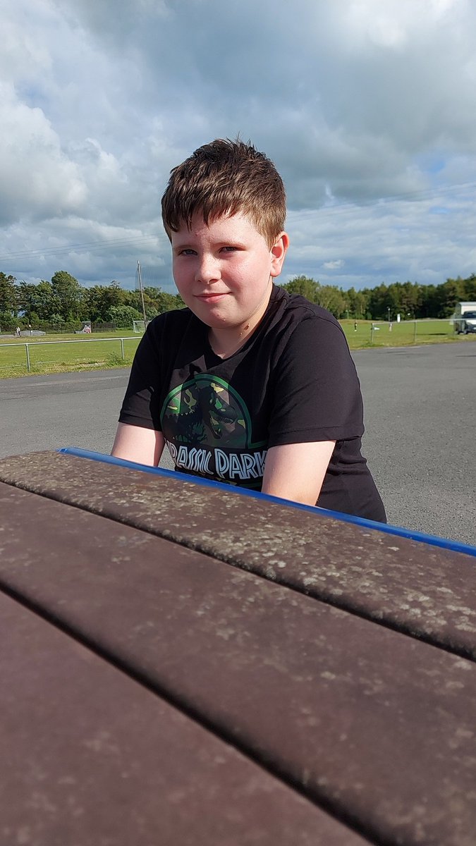 puppy_twisted's tweet photo. Maximilian is in this photo but you can't see him as his Ninja training is almost complete #NinjaInTraining #BeautifulEveningInClare https://t.co/uuprWoOFbK