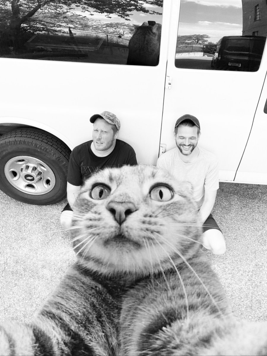 dltsgdomshows's tweet photo. NEW SHOW: Off With Their Heads (@epitaphrecords)  w/ comedian Ben Roy (from truTV's Those Who Can't + the band @SPELLSRules) on 8/1 at @SmallsFunhouse!!

TICKETS ON SALE FRIDAY (6/18) AT 3PM!!

LISTEN: https://t.co/yHJDDJ3Kmy 

FB EVENT: https://t.co/1qjXJPP9Z9 https://t.co/XXG8jbiAtu