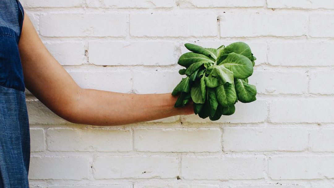 CSU Dining tweet media