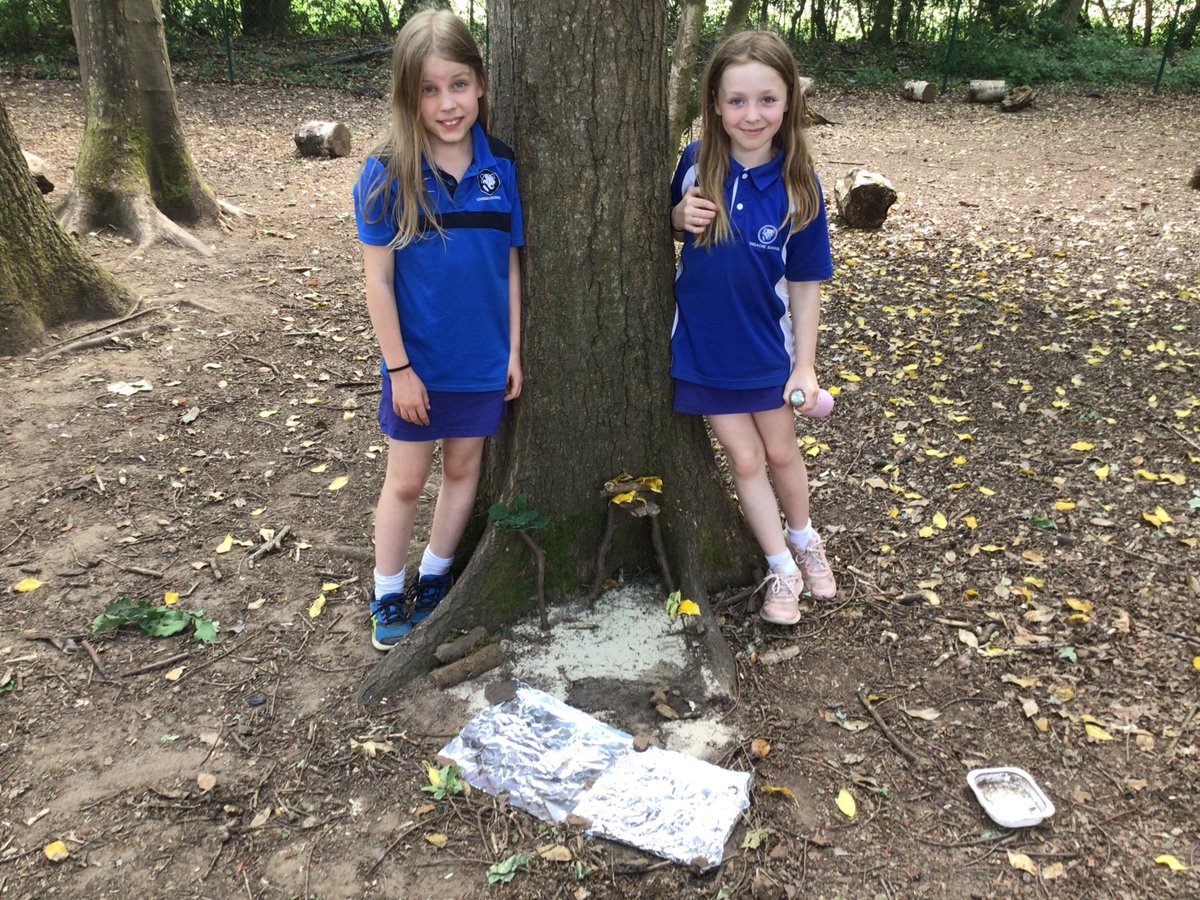 longacreschool's tweet photo. What a fantastic day for Year 4's Empty Classroom Day today! ☀️Here they are making a coastal scene in their outdoor humanities lesson. #outdoorclassroomday #emptyclassroomday #outdoorlearning #forestschool #longacreschool #LongacreLife https://t.co/UUAcSccq3K