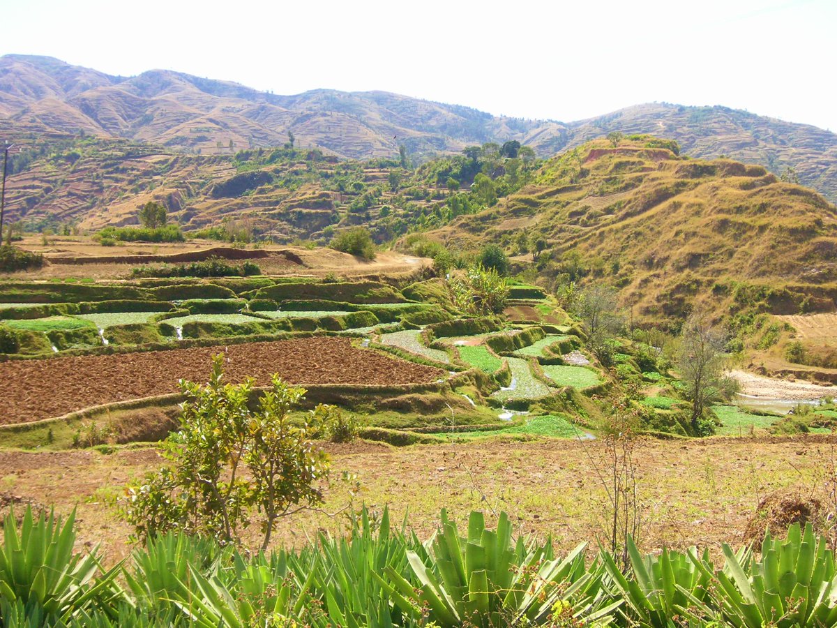 radiomada's tweet photo. #Madagascar : Le village de #Betafo se trouve à 191km d'#Antananarivo et 40mn d'#Antsirabe de la Région #Vakinankaratra. On y trouve des Rizières en terrasse, des Cascades et plusieurs #Vatolahy. La première Église Luthérienne #Malagasy y était fondée. #Madagasikara #MyMadagascar https://t.co/TS5eyMVl1o