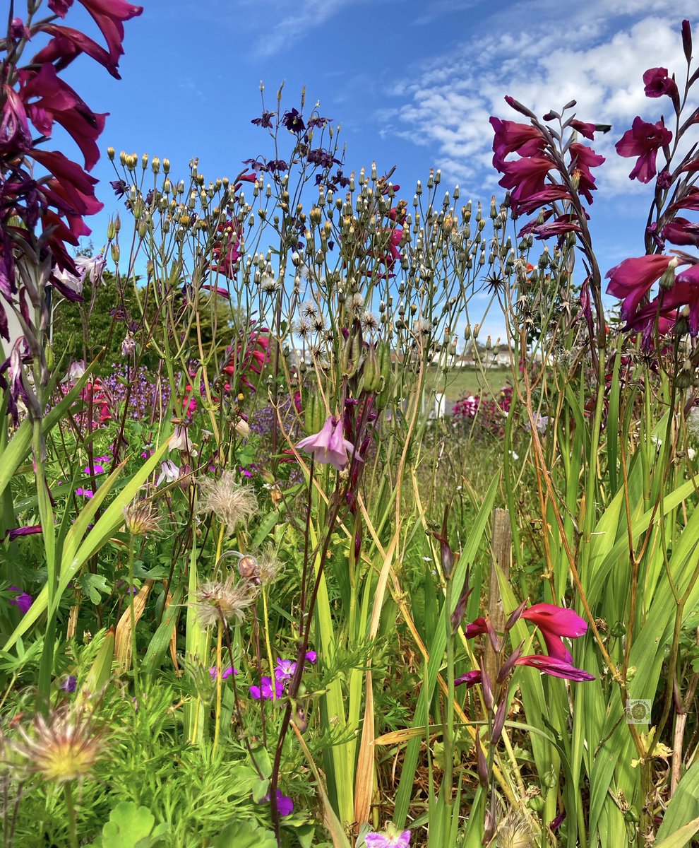 Although exploring the natural environment in search of a specific colour/s may seem like a simple activity,this fun form of outdoor exploration can create endless opportunities to educate nippers about the wonderful world of #nature

facebook.com/10757561782685…

#outdoorlearning 🍃