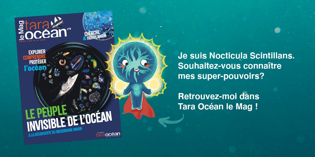 TaraOcean_'s tweet photo. Le nouveau numéro de Tara Océan, Le Mag vient de sortir. 
Ce magazine ludique et pédagogique pour les 8-14 ans (mais aussi pour les plus grands 😉) vous permettra de tout comprendre sur le microbiome marin ! 🌊

#ExplorerEtPartager https://t.co/yoiSB5xZ3Q