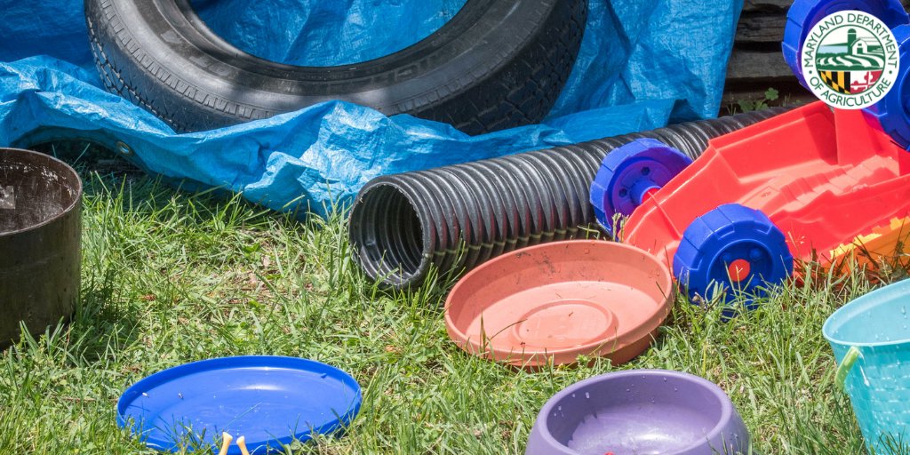 📰: MDA Encourages Marylanders to Reduce Mosquito Breeding Zones at Home bit.ly/3gDe2F7

"It is important to survey your home and rid your property of standing water where mosquitoes could potentially lay eggs," said Md Ag Sec. Joe Bartenfelder.