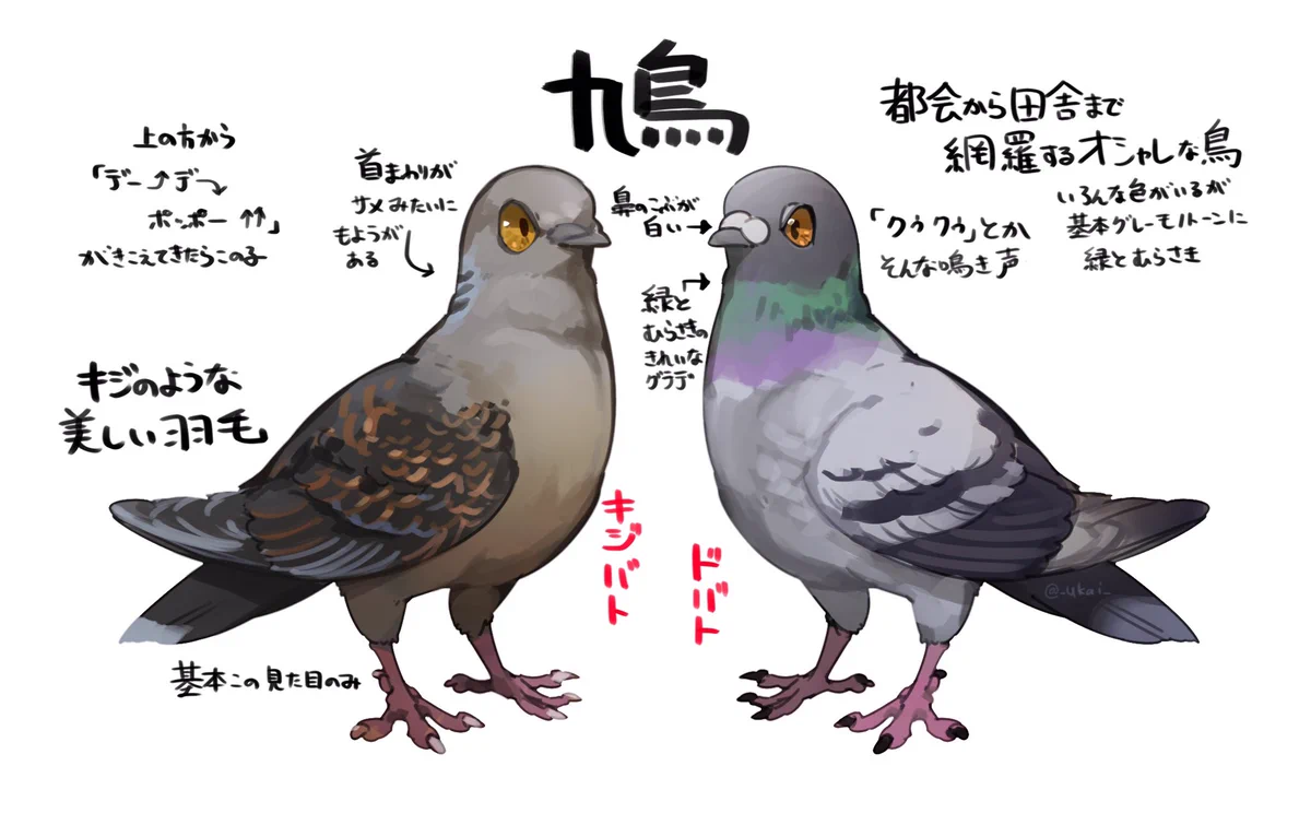 似ているようで実は違う？ハトの見分け方まとめ！