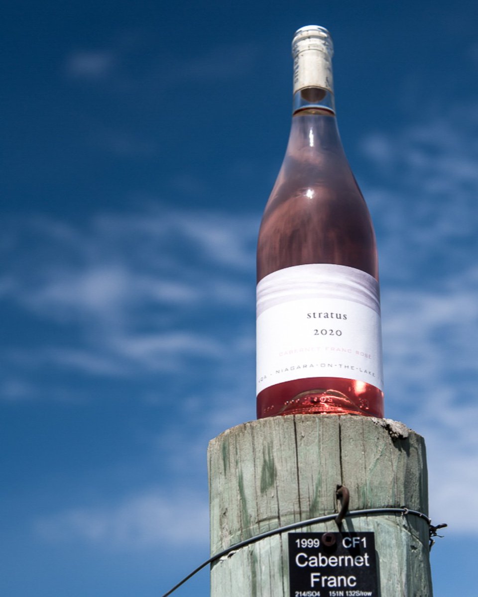 Looking for the perfect Rosé to pour on your patio this summer?  The @stratuswines 2020 Rosé is exactly that.  This wine is fresh, elegant and complex and true to its Cabernet Franc roots.

#DiscoverSomewhereness #Terroir #BuyLocal #OntarioWine #SupportLocal