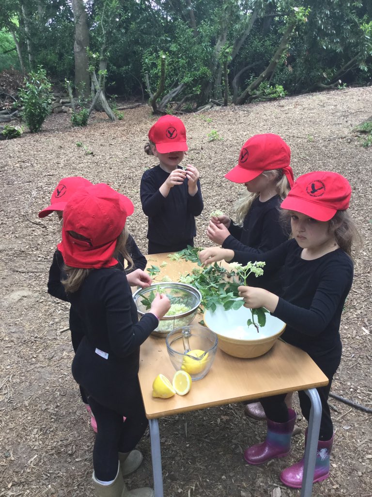 PipersForestSch's tweet image. Year 1 @PipersPrePrep spent the afternoon making elderflower cordial from our elder tree. You would be proud of us @PipersFoodTech it was very tasty 😋 #PipersOutdoors #PipersForest #Natureslarder #PipersCommunity