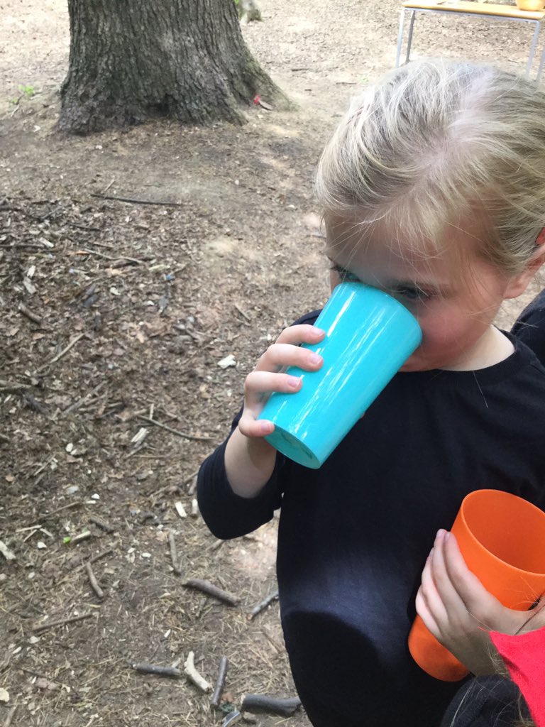 PipersForestSch's tweet image. Year 1 @PipersPrePrep spent the afternoon making elderflower cordial from our elder tree. You would be proud of us @PipersFoodTech it was very tasty 😋 #PipersOutdoors #PipersForest #Natureslarder #PipersCommunity