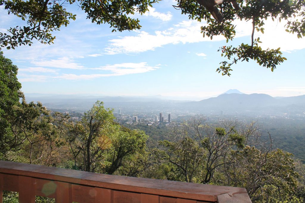 Spizaetus_T's tweet image. Abro hilo sobre animales que se pueden encontrar en El Espino

Si, ese mismo bosque que quieren talar para urbanizarlo y cubrirlo con cemento.