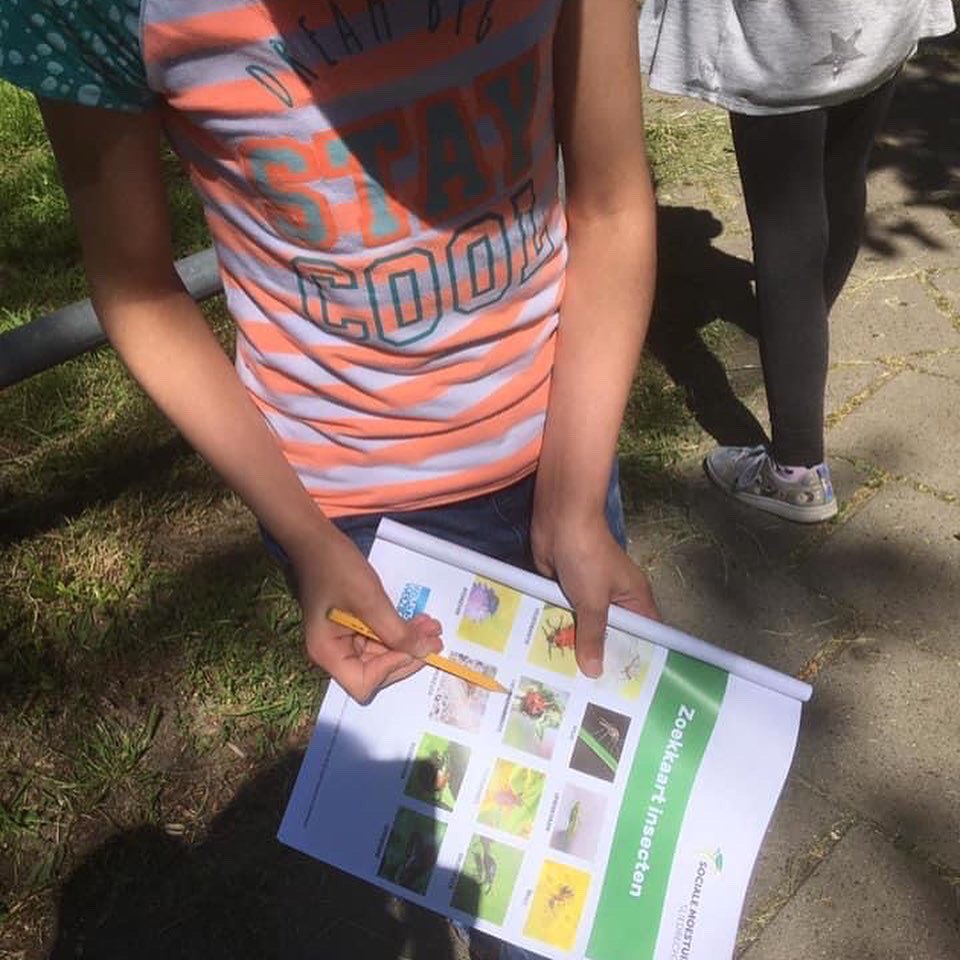 SocialeMoestuin's tweet photo. Thuis en op verschillende scholen wordt aan het natuur thuis pakket gewerkt!
De foto’s zijn van @ObsDeWilgen super leuk om te zien hoe enthousiast er aan de lessen wordt gewerkt!!👍👍
@RoaldDahl, @OranjeNassau, @AnnedeVries @johannesCalvijn.
Succes allemaal!!
#socialemoestuin https://t.co/CYkZpL6Kre