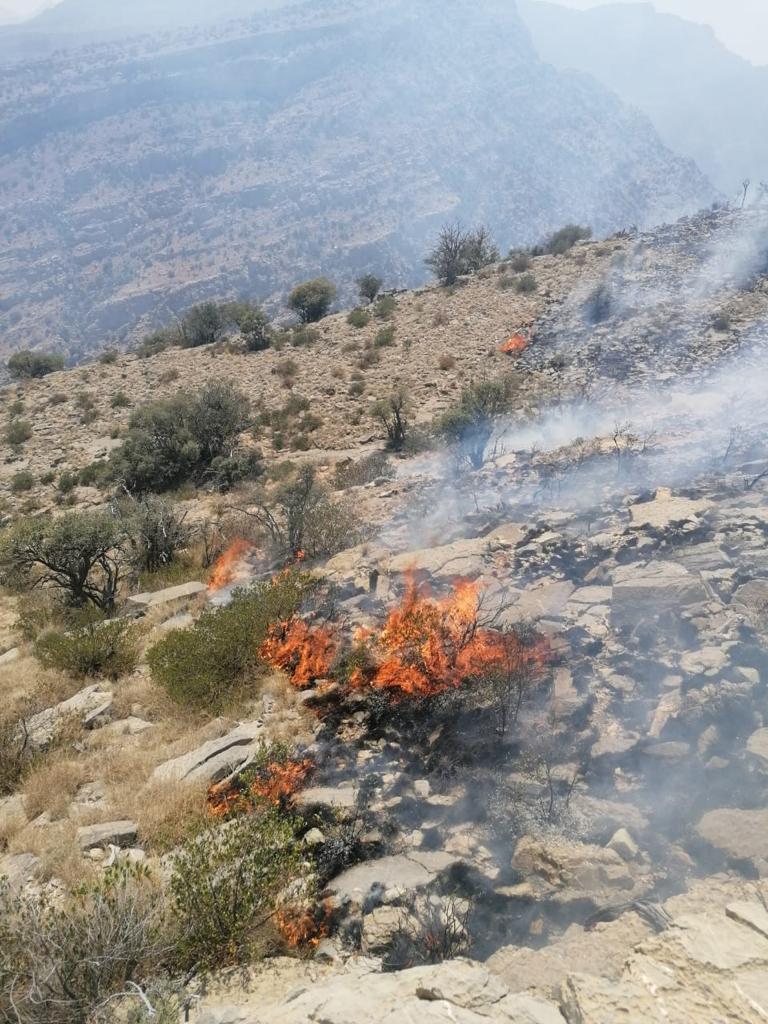 الكارثه البيئية التي حصلت اليوم بجبل شمس لهو دليل على إهمال البيئة وعدم الإكتراث لها وهو دليل على عدم تطبيق القوانين والرقابة البيئية على هذه المناطق الفريده فعسى أن نرى تغييرا على أرض الواقع من قبل الجهات المعنية