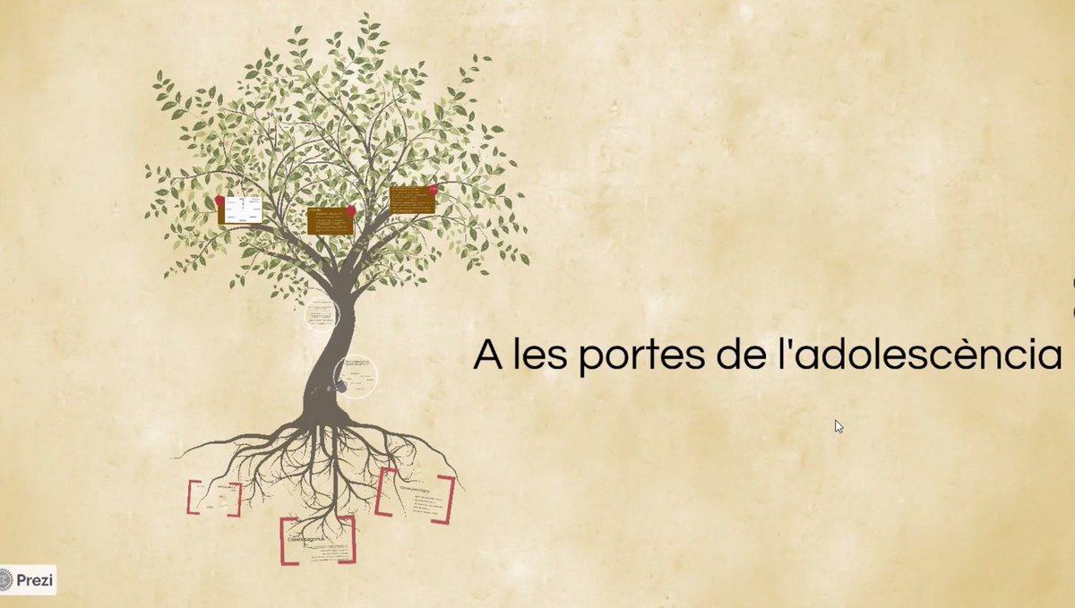Maristes Badalona tweet media