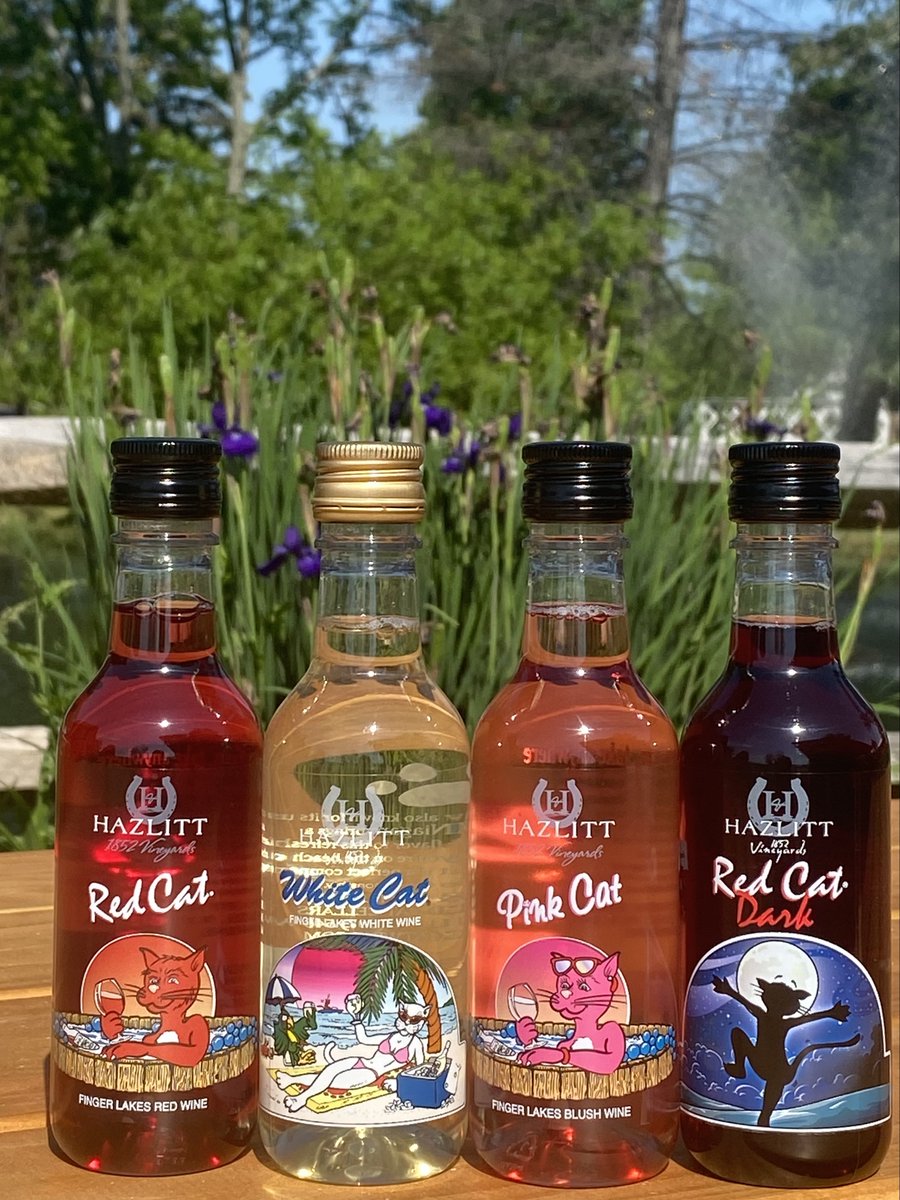 RedCatWine's tweet photo. All of your favorite cats are now available in the minis (187ml bottle kittens)😻!

#redcatwine #getyourpartystarted #pinkcatwine #whitecatwine #redcatdark #myflx https://t.co/pXTGTR2jdW