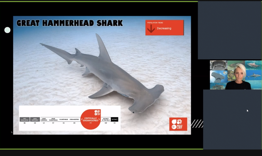 ValiaReinsalu's tweet photo. Thank you @Sharks4Kids @Flipgrid Ms Wilson, Mr Fisher & Mr Pinto's @tdsbvs grade 5 classes enjoyed your informative call to action to protect & honour & sharks as important members of the ecosystem #sharkpowers #allkindsoflearners #feartofascination @TeraDabner https://t.co/fp31RbcS6E