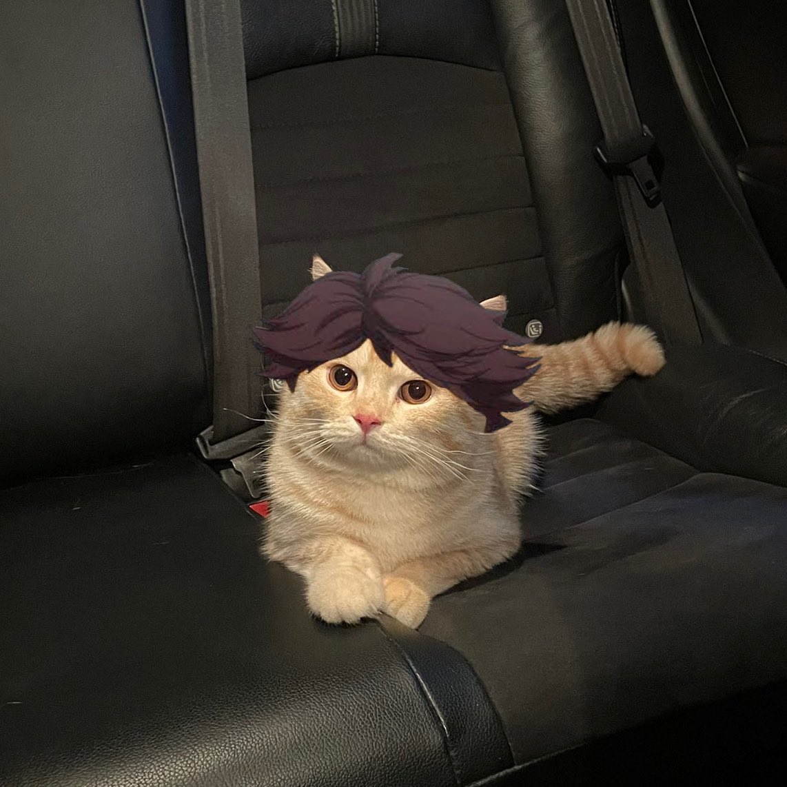 บีมกับน้องๆ tweet media