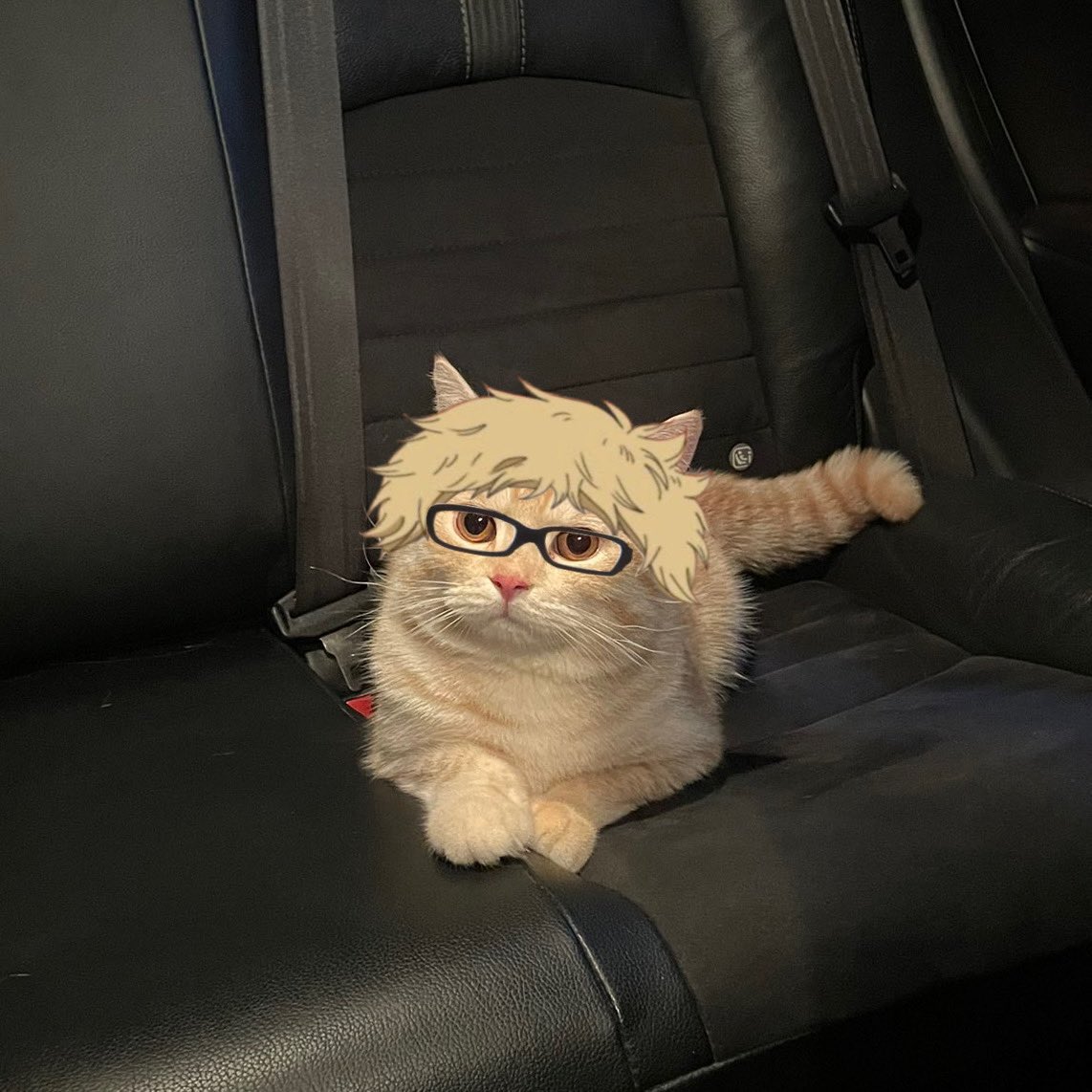 บีมกับน้องๆ tweet media