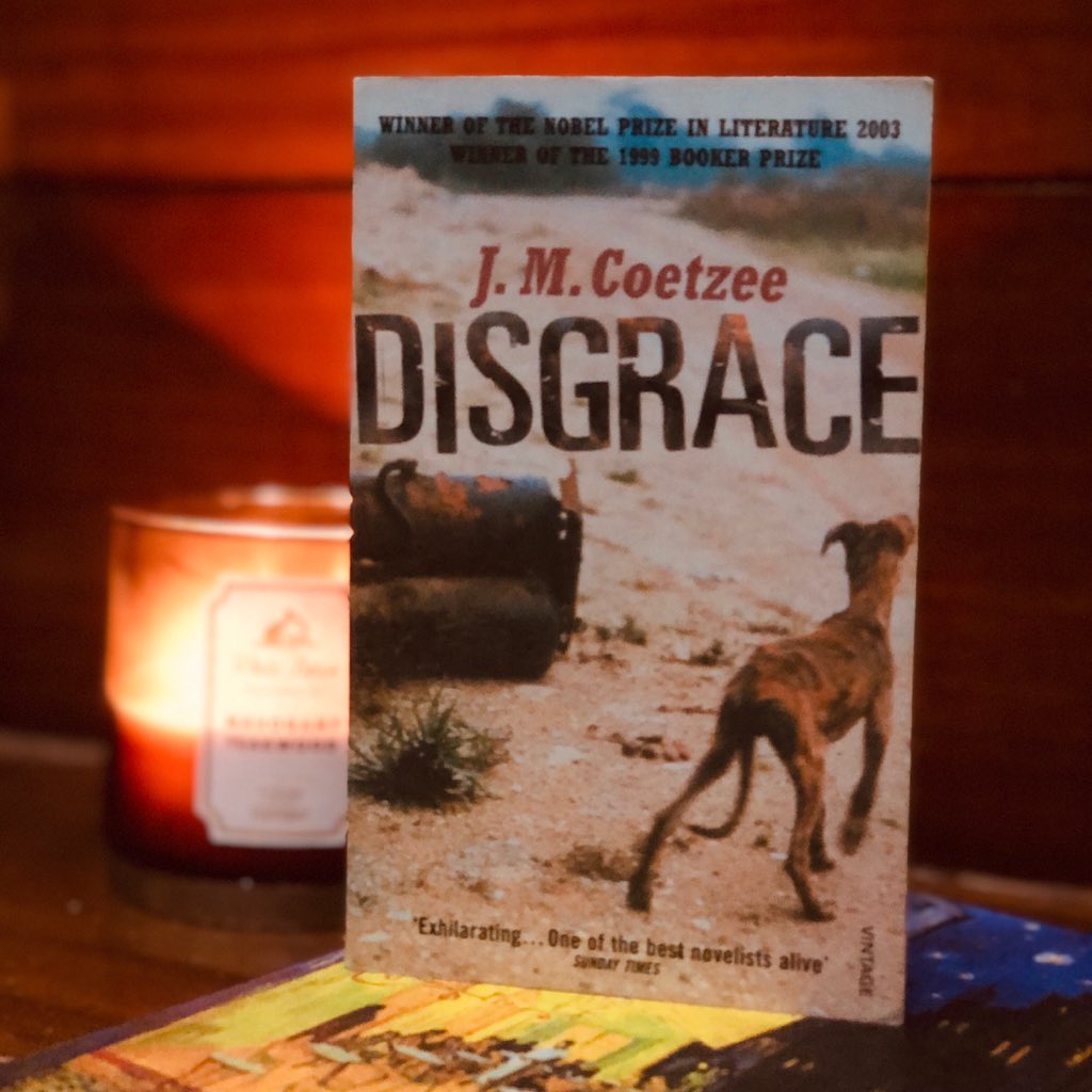 @goodreads Disgrace by J.M. Coetzee, it is mainly about sexual misconduct, rape and search of redemption. The book genuinely engages with the aftermath of apartheid.