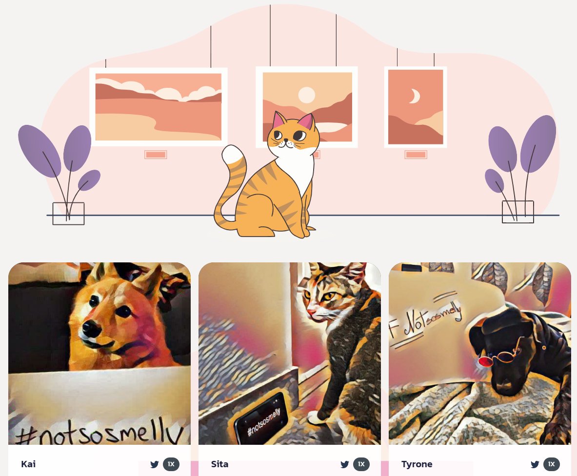 SmellyCat.Finance tweet media