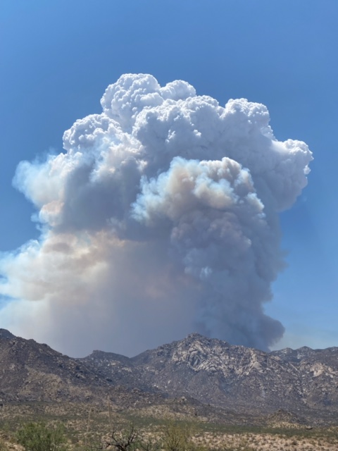 NWSTucson's tweet image. Just to followup on our previous Tweet on the #PinnacleFire. Here is a closer look at the Pyrocumulus courtesy of the Public Information Office at the fire. #azwx #azfire