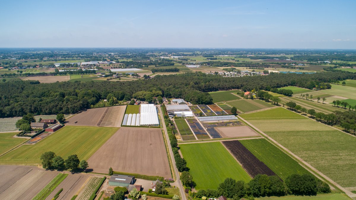 Op 23 juni 2021 komt de tweede #KwekersBode uit. Deze zal huis-aan-huis worden bezorgd maar ook in twee talen digitaal worden uitgezet. De #KwekersBode bevat i.i.g. zes #vakinhoudelijke #artikelen. Wij kijken er naar uit! Wederom een #bewaarexemplaar.

<a href="/ZundertseBode/">Zundertse Bode</a>