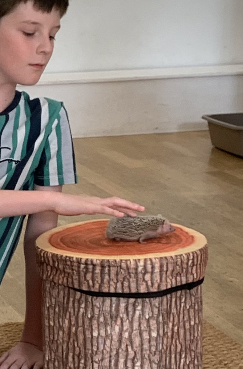 Jonathan Braggs tweet media