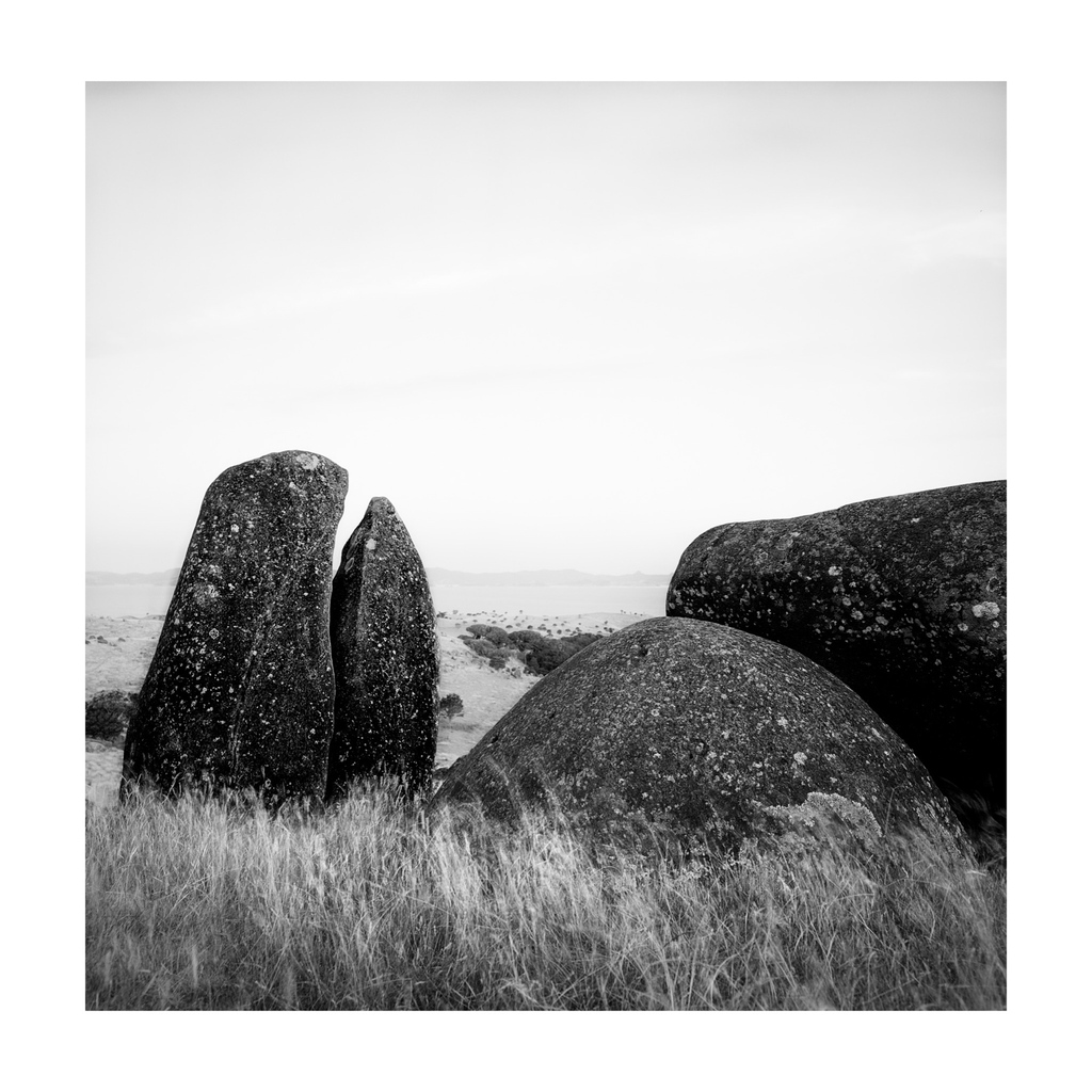 Waiheke Island’s Stone Whale in black and white.

#mediumformat #filmphotography #believeinfilm #landscapephotography #ishootfilm #hasselblad #hasselblad503CW #hasselblad500 #waihekeisland #thestonewhale #blackandwhite