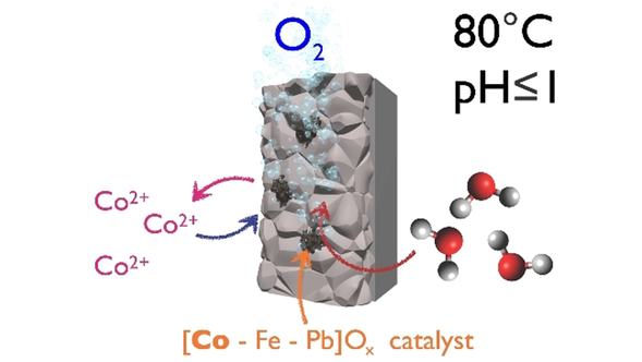 Angewandte Chemie tweet media