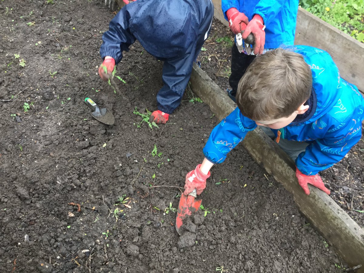 BollinPrim1H's tweet photo. Before and after allotment photos. We planted our seeds before half term. https://t.co/KF47UqHpvf