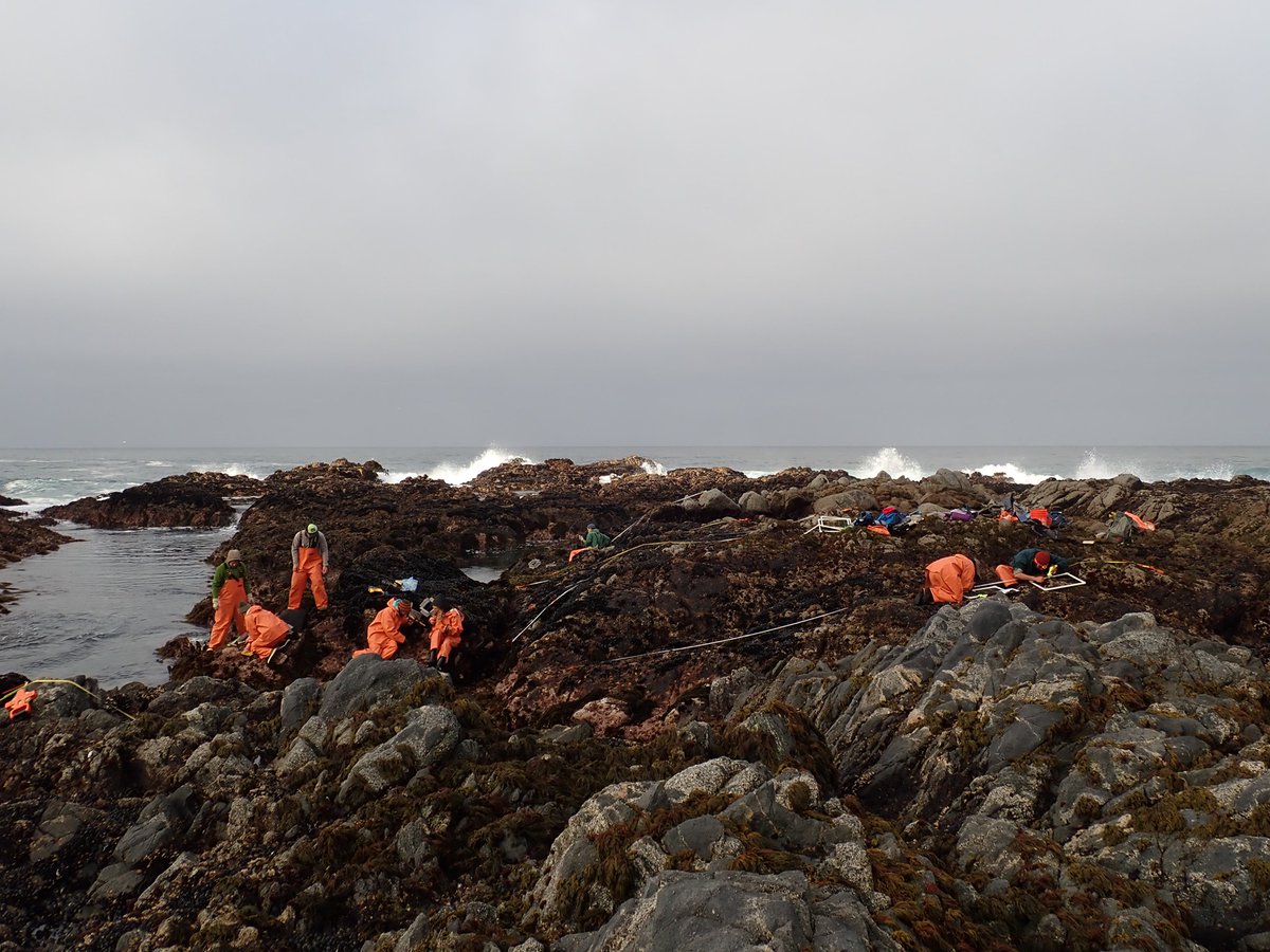 The #Oregon Coast Aquarium is hosting a BioBlitz series! A #BioBlitz is an intensive survey of a specific area with the goal of identifying all the species to be found in that area at one time – acting as a snapshot of biodiversity.