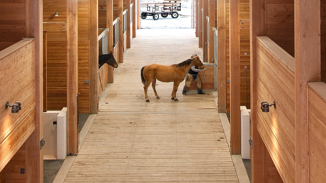 BlackburnArch's tweet photo. Placing feed, hay &amp; bedding storage in the middle of a horse barn, especially in a large barn, means less travel distance, saving time (!) energy, &amp; supplies. We put service areas in the middle of large barns (16+ stalls). https://t.co/6H9aif54uJ