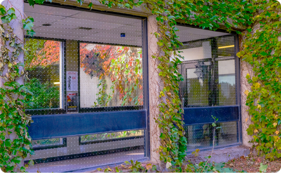 Feather Friendly tweet media