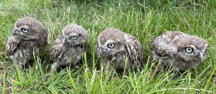 Jon Keepen tweet media