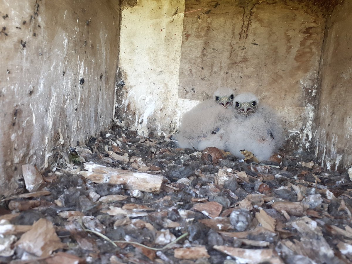 Jon Keepen tweet media