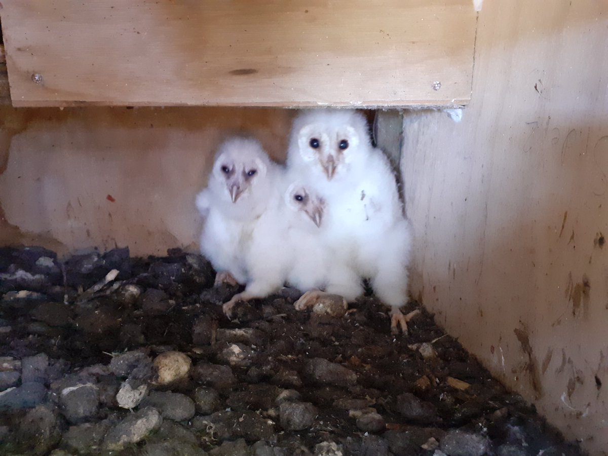 Jon Keepen tweet media