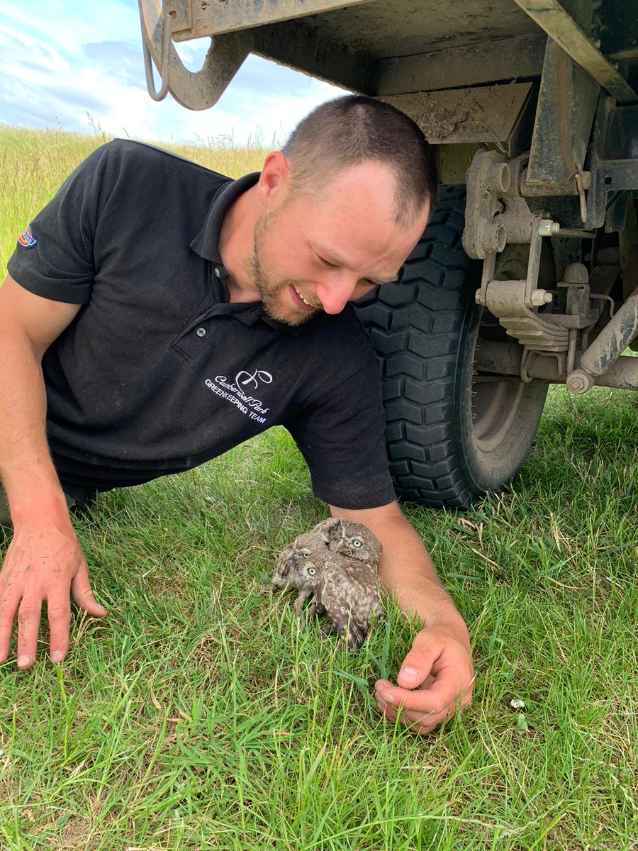 Jon Keepen (@greenkeepen) on Twitter photo Thanks to <a href="/emilyjoachim/">Dr Emily Joáchim</a> for coming to ring our birds again this year. 4 Little Owl chicks, 7 Barn Owl chicks and 2 Kestrels hatched on the course and will be flying before too long. Great to see golf and nature sharing the same space and thriving. 🐣 🦉 ⛳ Thanks to <a href="/emilyjoachim/">Dr Emily Joáchim</a> for coming to ring our birds again this year. 4 Little Owl chicks, 7 Barn Owl chicks and 2 Kestrels hatched on the course and will be flying before too long. Great to see golf and nature sharing the same space and thriving. 🐣 🦉 ⛳