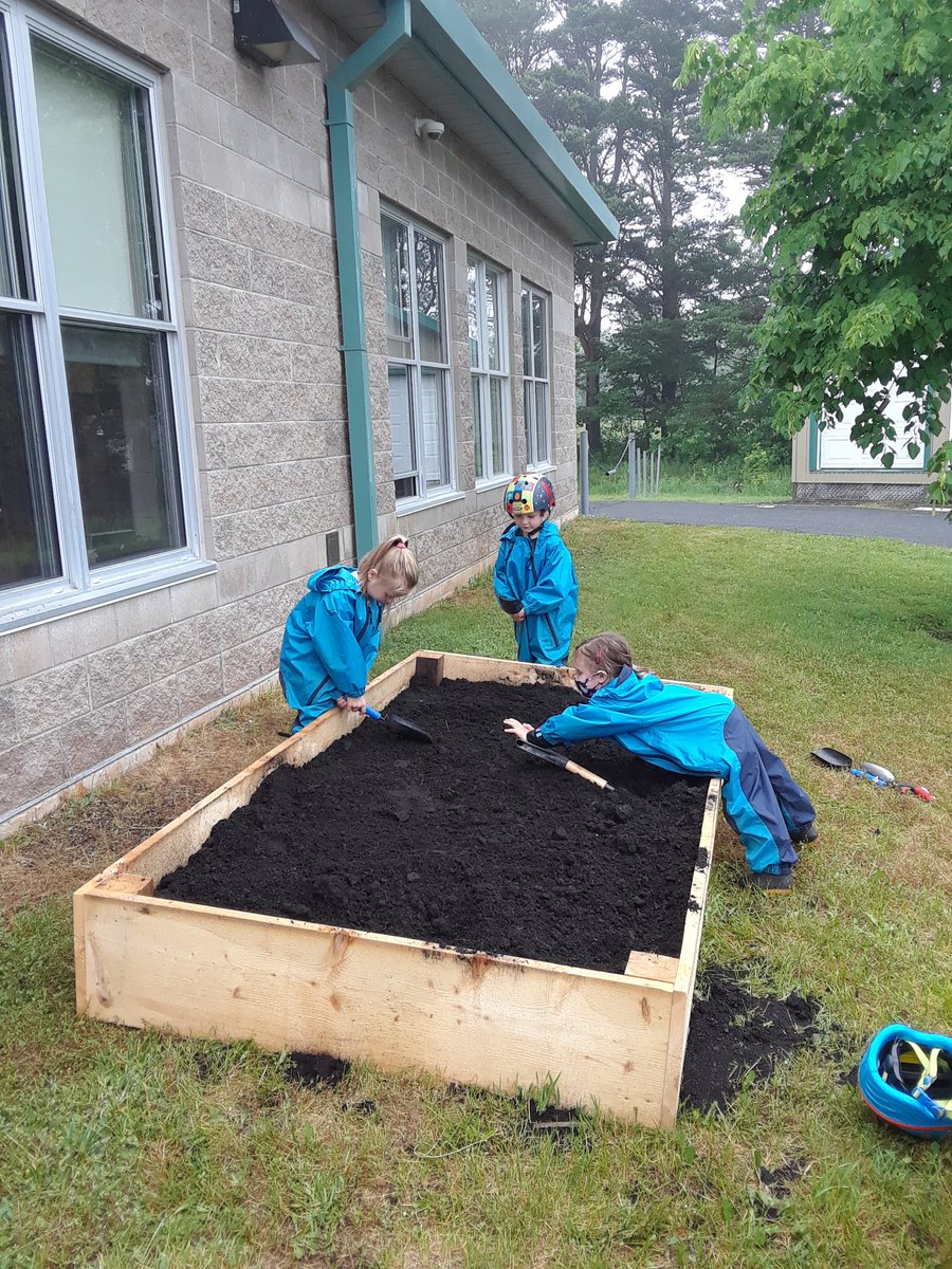 LohnesFreeman's tweet photo. The construction was conpleted, the dirt was loaded, Mither Nature took care of a wonderful watering, so today we transplanted our tomatoes and planted our Butterfly and Hummingbird garden.
#nspreprimary 
@champlain_elem https://t.co/UfnXPI9tdK