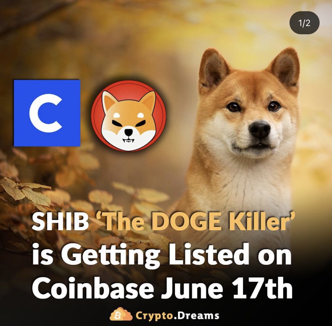 aawaaraa_'s tweet photo. Let's go $SHIB #SHIB lovers before it's too late!!! https://t.co/EkhD0ekwbd