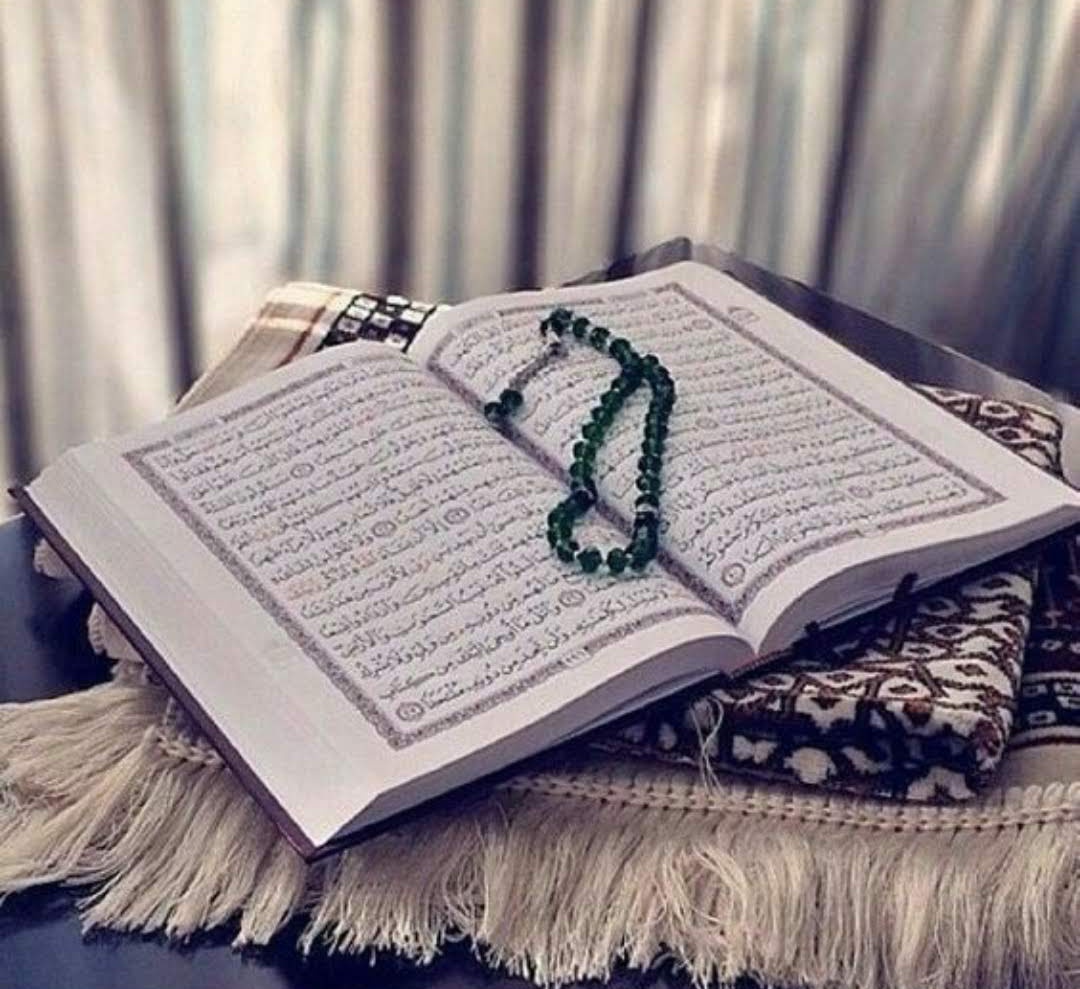 Quron o. Quron o. Quron o. 30 21 коран. Quron o.