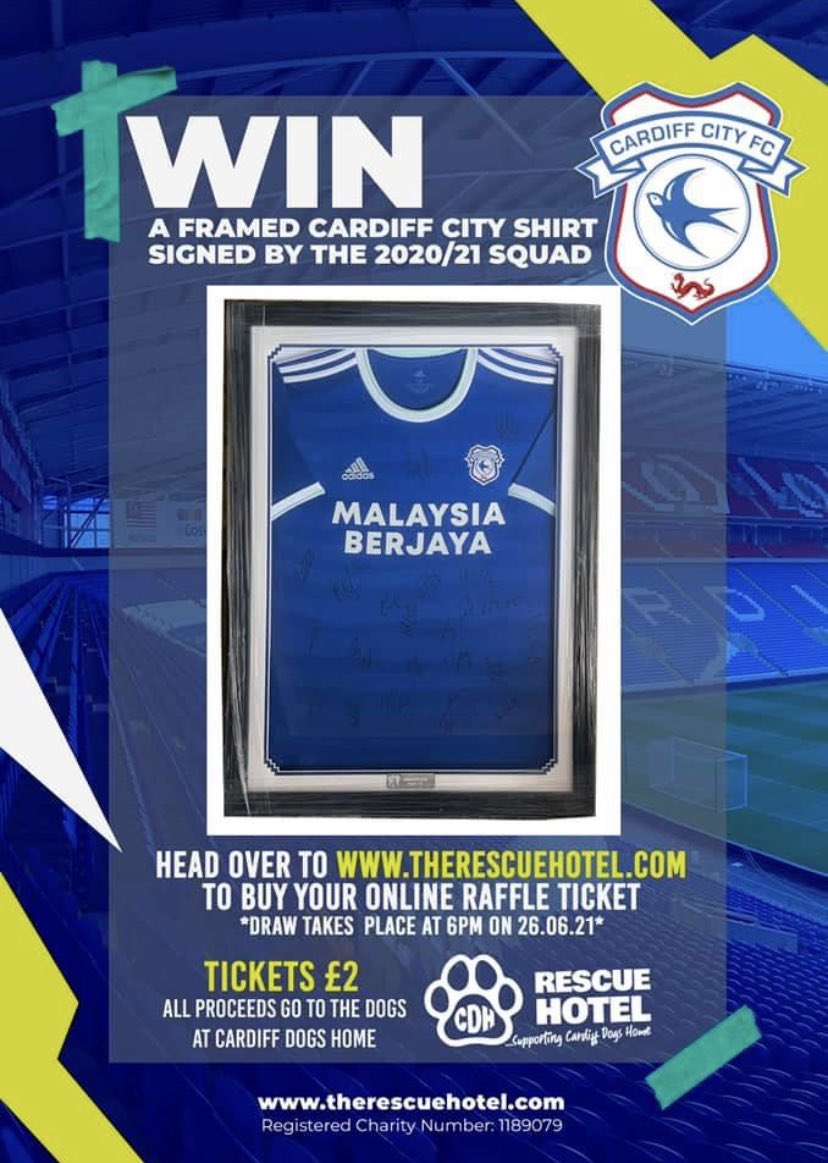 Cardiff Dogs Home, The Rescue Hotel tweet media